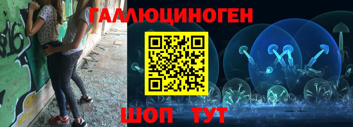 Псилоцибиновые грибы Cubensis Тамбов
