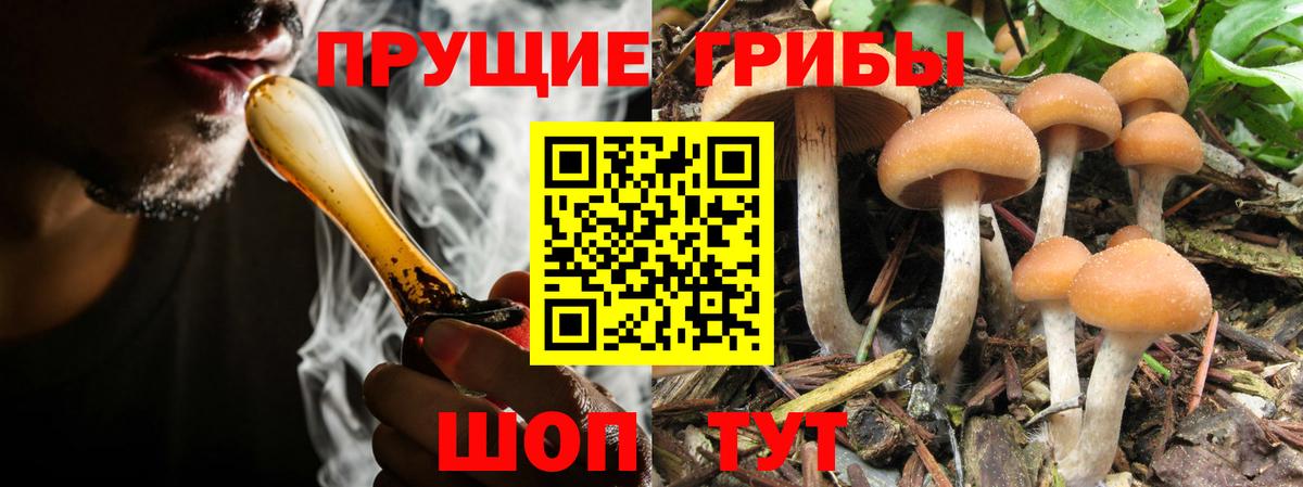 Галлюциногенные грибы ЛСД  Вход с VPN  Тамбов  Галлюциногенные грибы Cubensis 