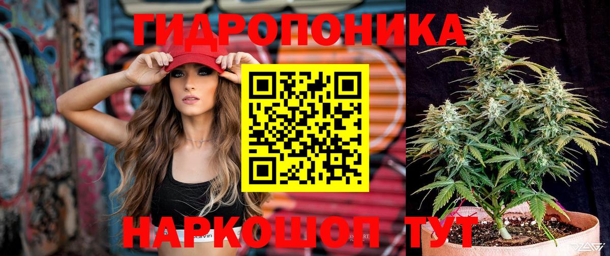 Бошки Шишки LSD WEED  Вход с VPN  Канабис VHQ  Тамбов 